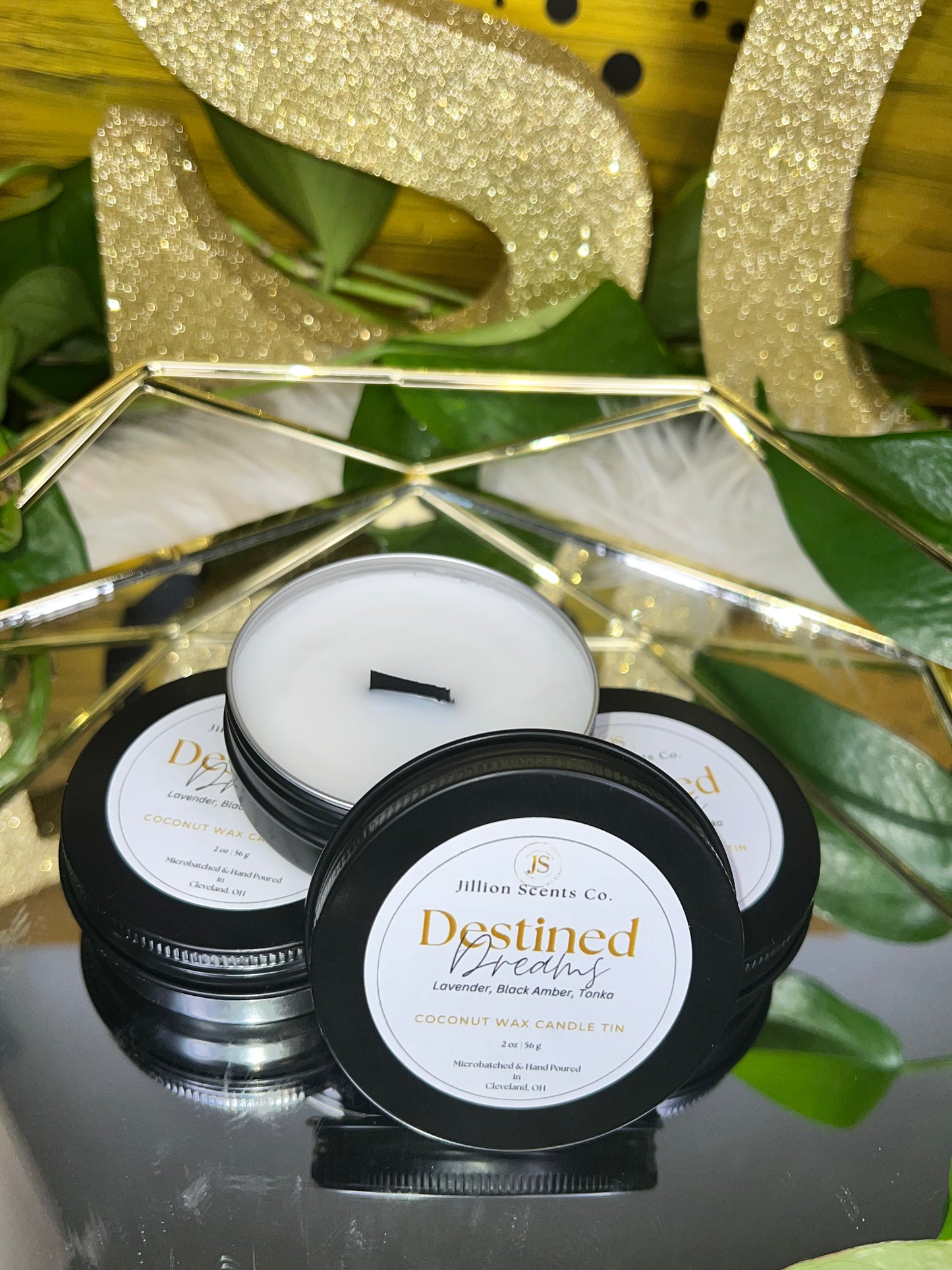 2oz Destined Dreams Mini Candle Apricot Coconut Cream Wax Candle Tin