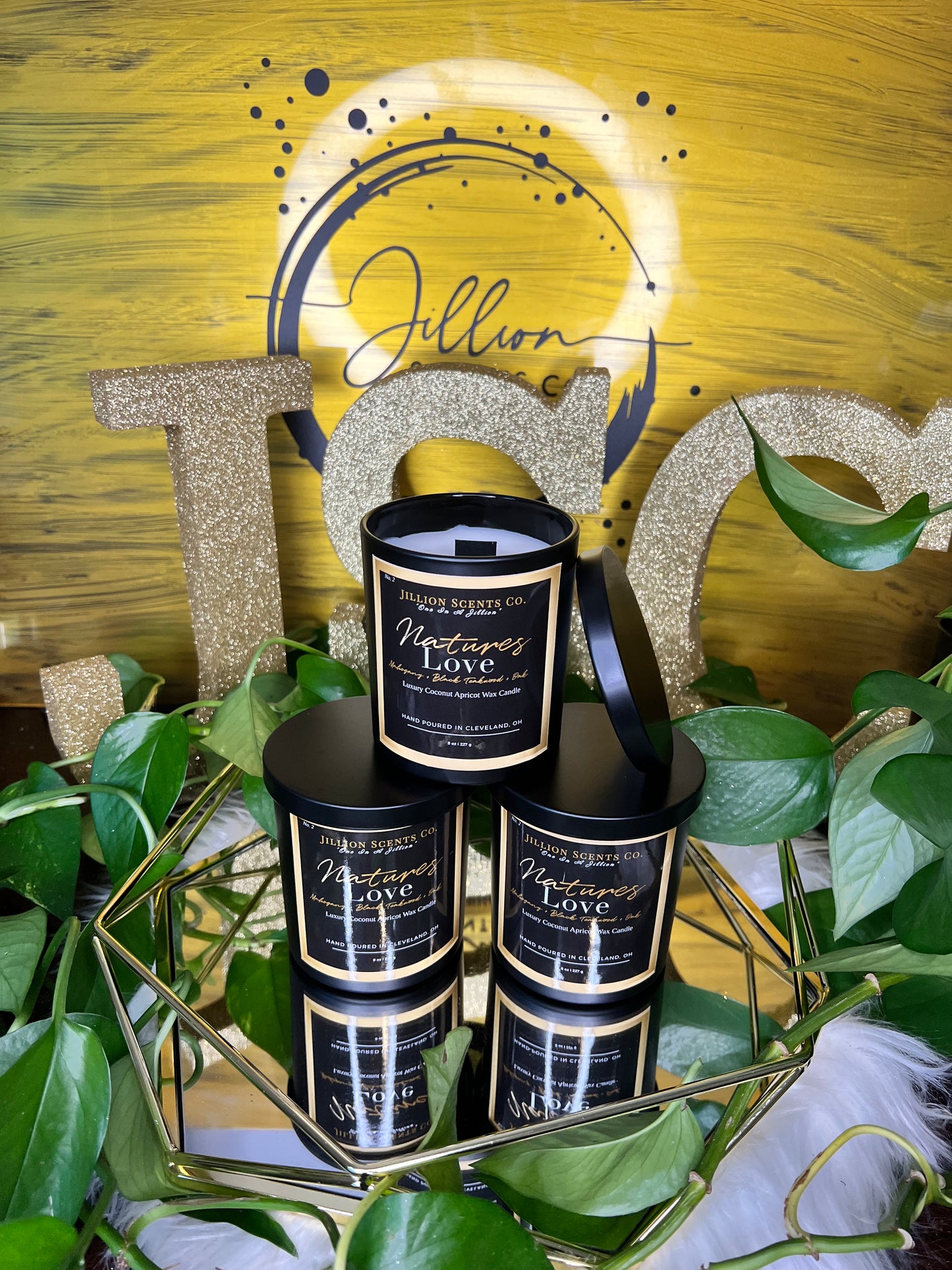 8 oz Natures Love Apricot Coconut Cream Wax Candle