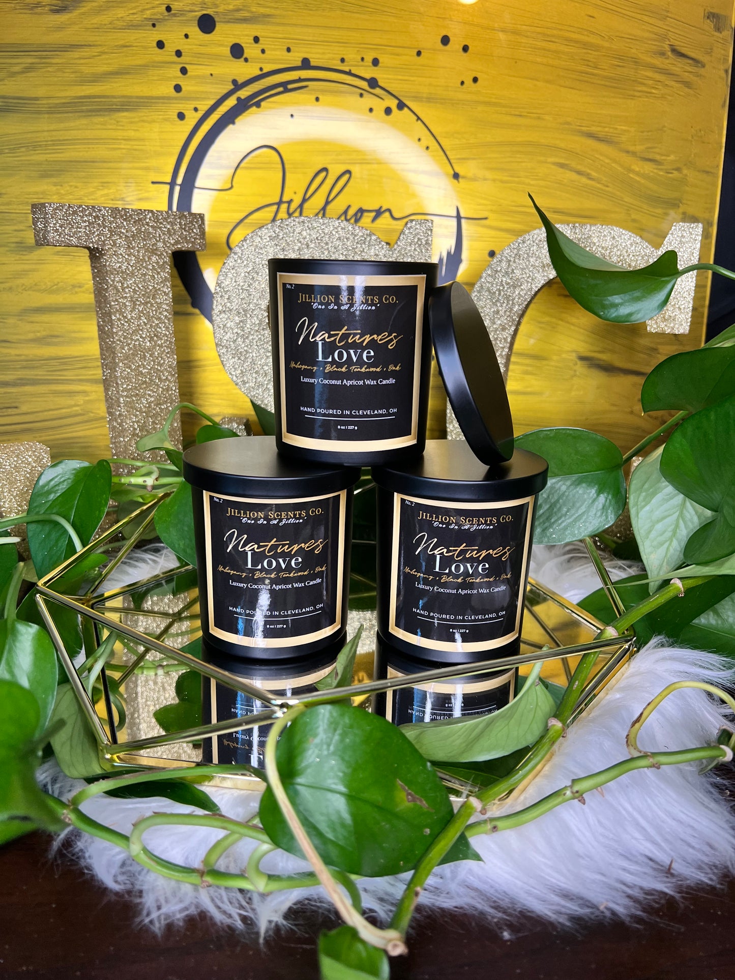 8 oz Natures Love Apricot Coconut Cream Wax Candle