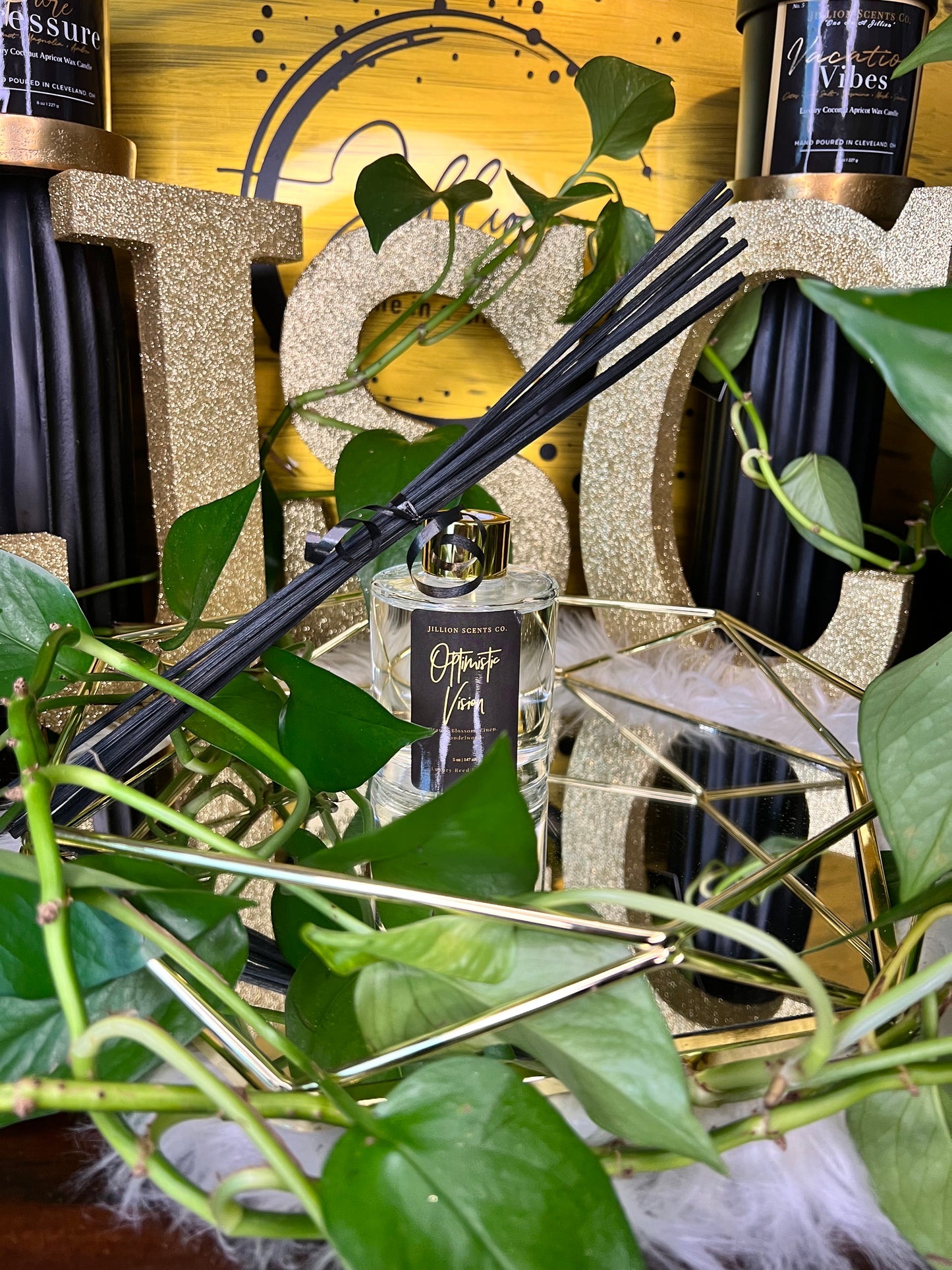 Optimistic Vision 5 oz (150 mL) Reed Diffuser
