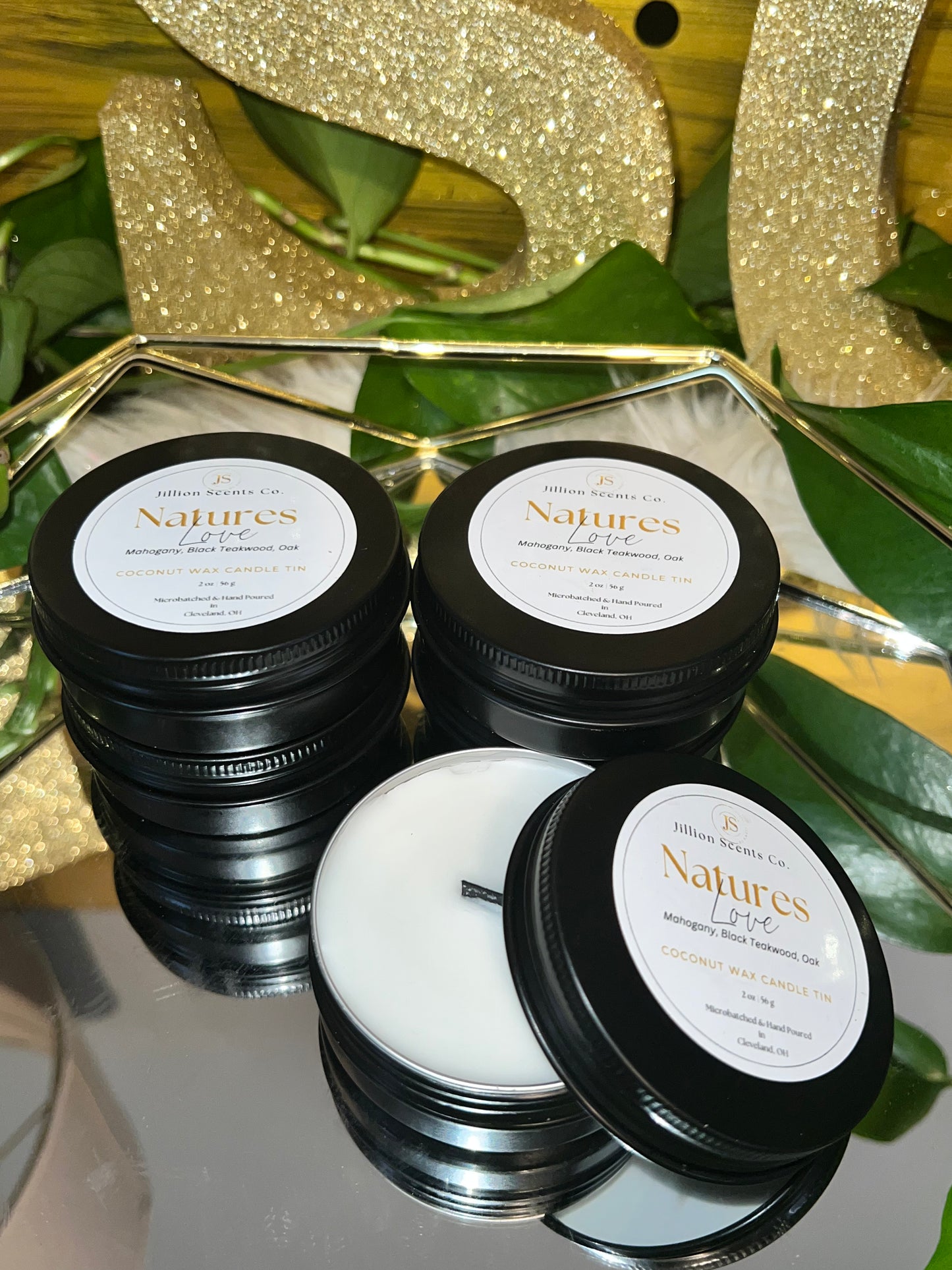 8 oz Natures Love Apricot Coconut Cream Wax Candle