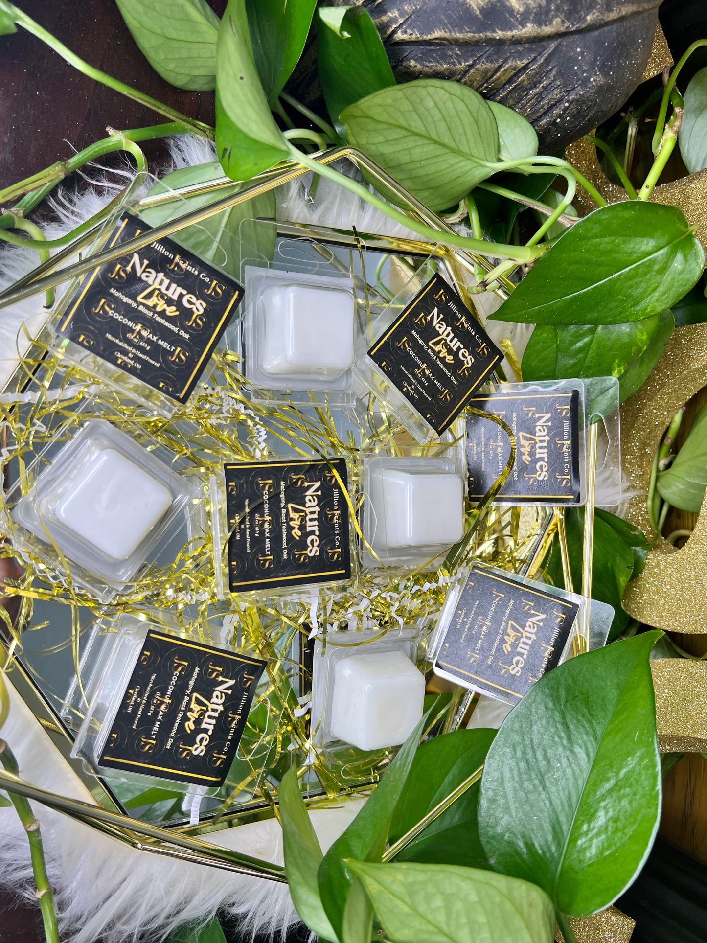 Natures Love 1 oz Coconut Wax Melt Single Clamshell
