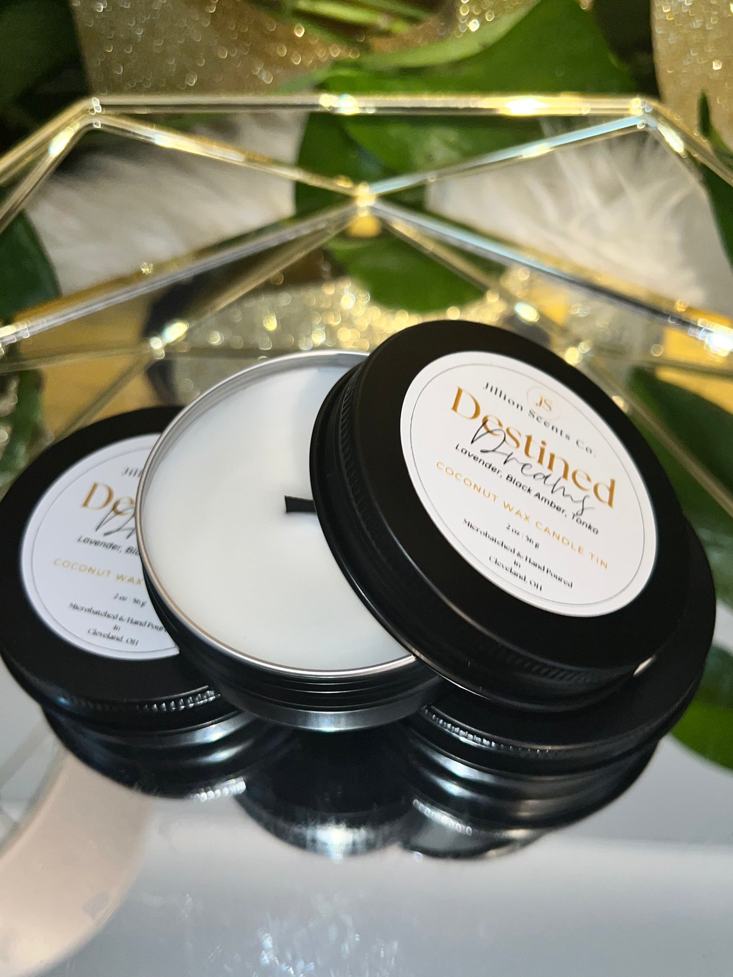 8 oz Destined Dreams Apricot Coconut Cream Wax Candle