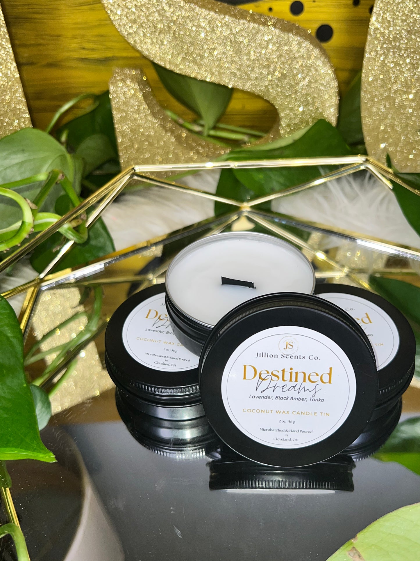 8 oz Destined Dreams Apricot Coconut Cream Wax Candle