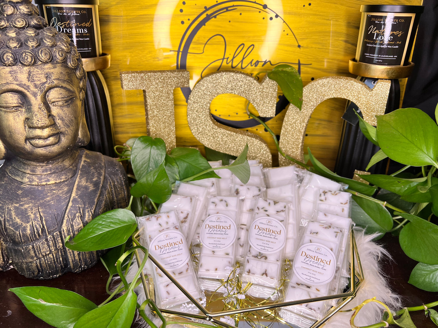 Destined Dreams Coconut Wax Melt Snap Bar