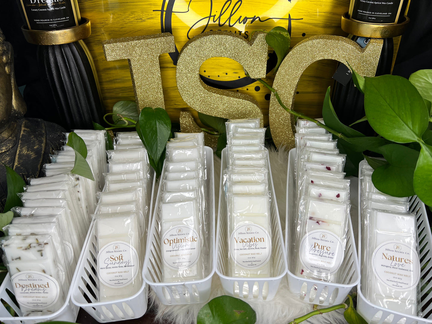 Natures Love Coconut Wax Melt