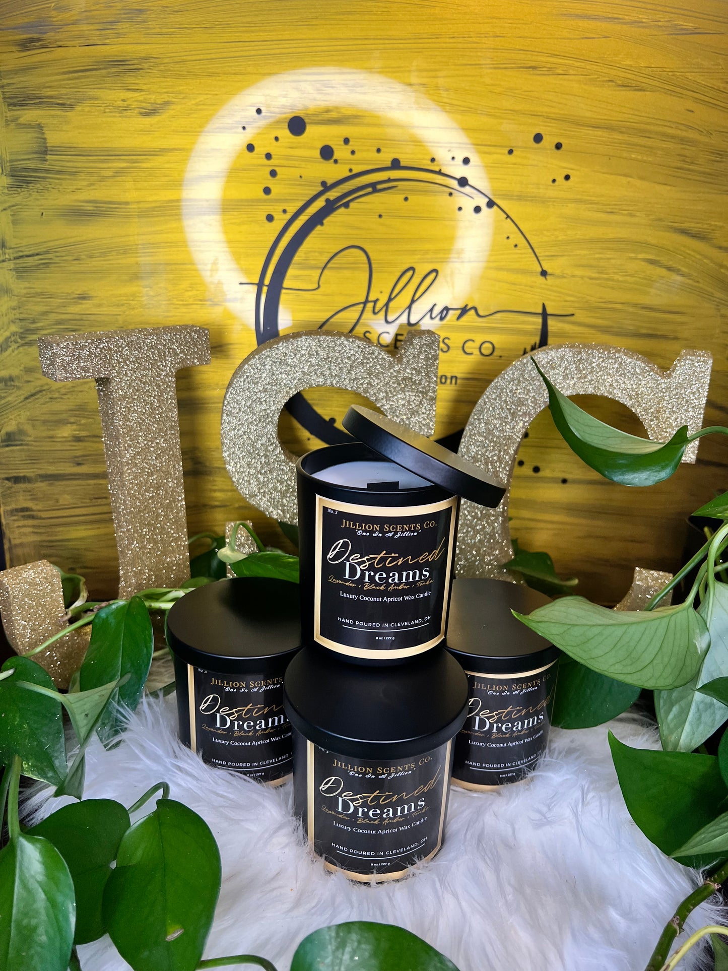 8 oz Destined Dreams Apricot Coconut Cream Wax Candle
