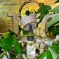 Golden Goddess Rose Oil