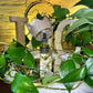 Golden Goddess Rose Oil