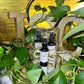 12 oz Destined Dreams Room\Linen Spray