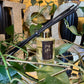 Beauty Within 5oz (150 mL) Reed Diffuser w/ 8 Rattan Reeds