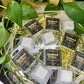 Destined Dreams 1 oz Coconut Wax Melt Clamshell