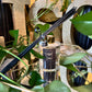 Destined Dreams 5oz (150mL) Reed Diffuser