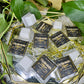 Optimistic Vision 1 oz Coconut Wax Single Clamshell