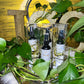 2 oz Destined Dreams Room\Linen Spray