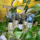2 oz Natures Love Room\Linen Spray