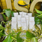Optimistic Vision Coconut Wax Melt Snap Bars