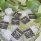 Optimistic Vision 1 oz Coconut Wax Single Clamshell